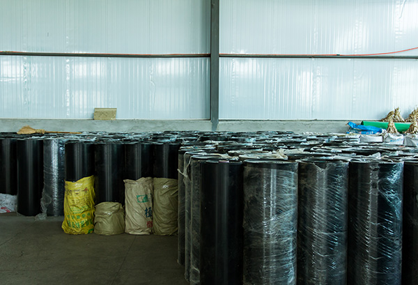 筑鵬企業風采展示(六) 筑鵬企業風采展示(六)